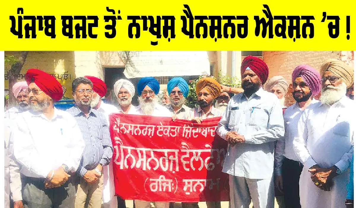 Pensioner Punjab: ਬਜਟ ਤੋਂ ਨਾਖੁਸ਼ ਪੈਨਸ਼ਨਰਾਂ ਨੇ ਕਰ ਦਿੱਤਾ ਵੱਡਾ ਐਲਾਨ, ਲਿਆ ਐਕਸ਼ਨ