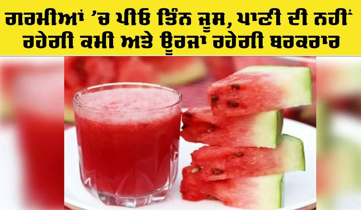 Summer Juice Benefits: ਗਰਮੀਆਂ ’ਚ ਇਹ ਪੀਓ ਤਿੰਨ ਜੂਸ, ਪਾਣੀ ਦੀ ਨਹੀਂ ਰਹੇਗੀ ਕਮੀ ਅਤੇ ਊਰਜਾ ਰਹੇਗੀ ਬਰਕਰਾਰ
