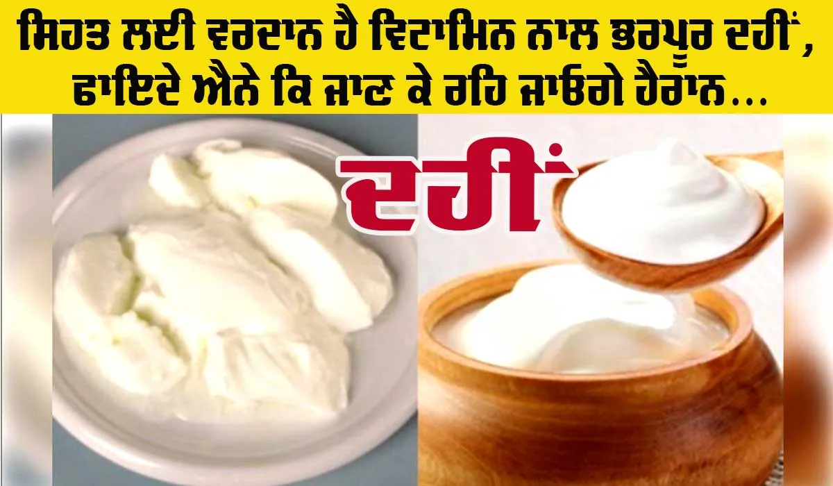 Benefits Of Curd: ਸਿਹਤ ਲਈ ਵਰਦਾਨ ਹੈ ਵਿਟਾਮਿਨ ਨਾਲ ਭਰਪੂਰ ‘ਦਹੀਂ’, ਇਸ ’ਚ ਹੈ ਸੁੰਦਰਤਾ ਦਾ ਰਾਜ਼ ਵੀ