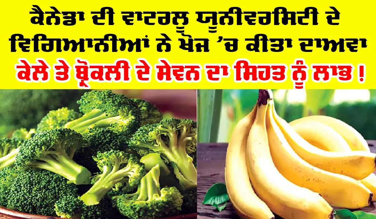 Broccoli and Bananas: ਬ੍ਰੋਕਲੀ ਤੇ ਕੇਲੇ ਦਾ ਸੇਵਨ ਕਰਨ ਦੇ ਲਾਭ ਸਬੰਧੀ ਕੈਨੇਡਾ ਦੀ ਯੂਨੀਵਰਸਿਟੀ ਨੇ ਕੀਤਾ ਨਵਾਂ ਦਾਅਵਾ