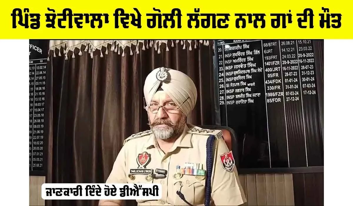 Faridkot News: ਪਿੰਡ ਝੋਟੀਵਾਲਾ ਵਿਖੇ ਗੋਲੀ ਲੱਗਣ ਨਾਲ ਗਾਂ ਦੀ ਮੌਤ