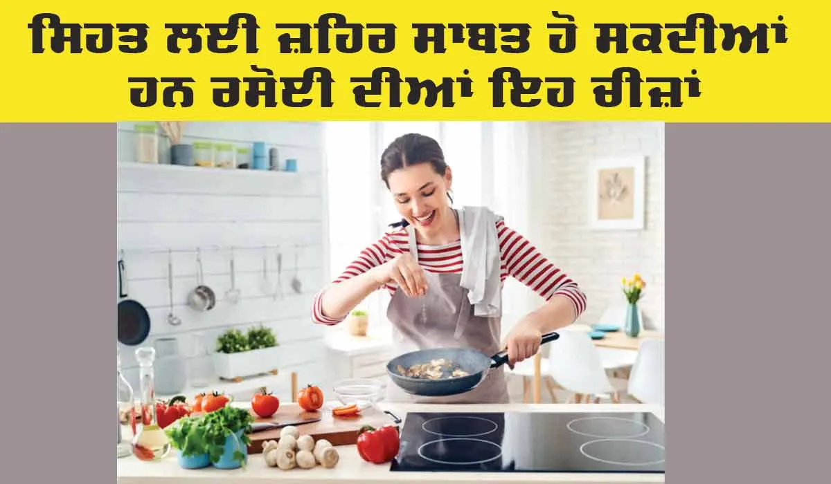 kitchen Items: ਸਿਹਤ ਲਈ ਜ਼ਹਿਰ ਸਾਬਤ ਹੋ ਸਕਦੀਆਂ ਹਨ ਰਸੋਈ ਦੀਆਂ ਇਹ ਚੀਜ਼ਾਂ
