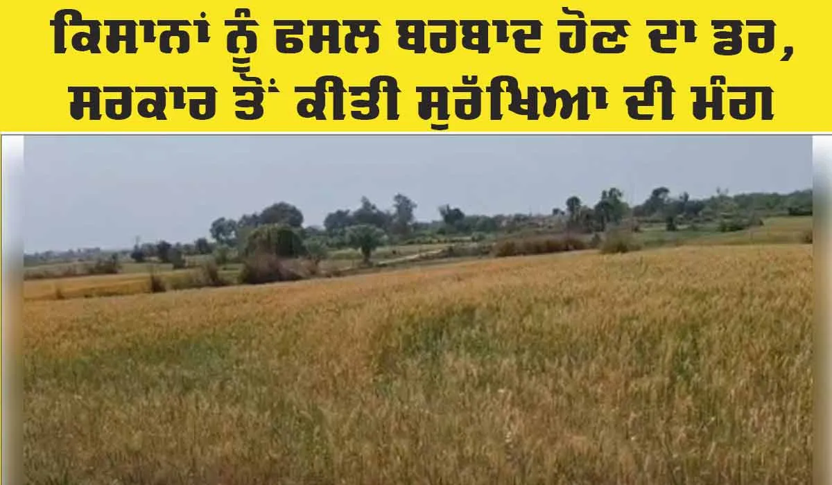 LoC: ਕੰਟਰੋਲ ਰੇਖਾ ‘ਤੇ ਤਣਾਅ ਕਾਰਨ ਦਹਿਸ਼ਤ ਦਾ ਮਾਹੌਲ, ਕਿਸਾਨਾਂ ਨੂੰ ਫਸਲਾਂ ਬਰਬਾਦ ਹੋਣ ਦਾ ਡਰ