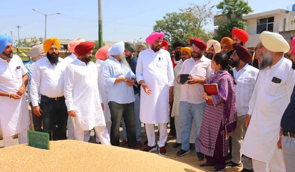 Punjab News: ਦਾਣਾ ਮੰਡੀ ‘ਚੋਂ ਦੋ ਦਿਨਾਂ ਦੇ ਅੰਦਰ-ਅੰਦਰ ਲਿਫਟਿੰਗ ਕਰਾਉਣ ਦੀ ਹਦਾਇਤ