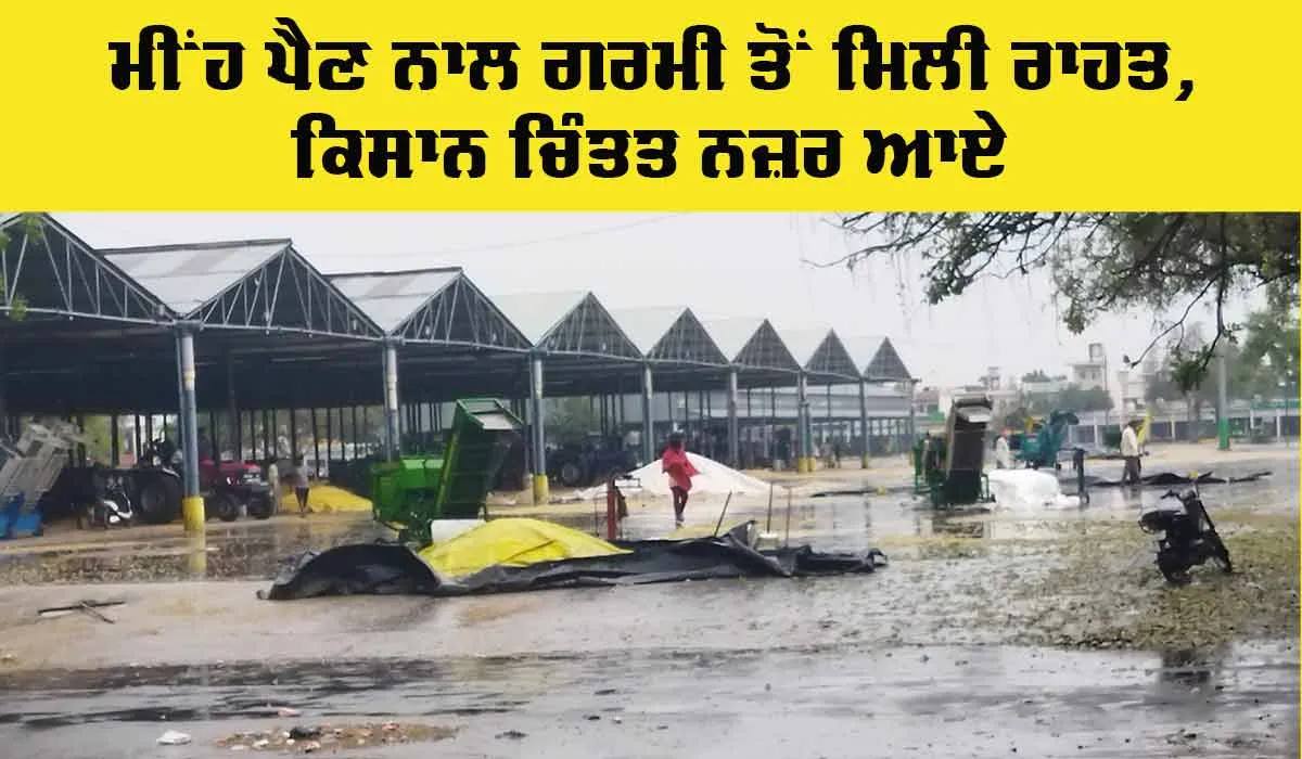 Punjab Rain: ਮੀਂਹ ਪੈਣ ਨਾਲ ਗਰਮੀ ਤੋਂ ਲੋਕਾਂ ਨੂੰ ਮਿਲੀ ਰਾਹਤ, ਕਿਸਾਨਾਂ ਨੂੰ ਚਿੰਤਾਵਾਂ ’ਚ ਪਾਇਆ