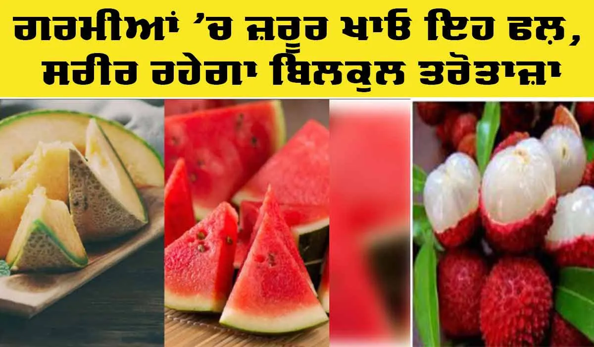 Summer Fruits: ਗਰਮੀਆਂ ’ਚ ਜ਼ਰੂਰ ਖਾਓ ਇਹ ਫ਼ਲ, ਸਰੀਰ ਰਹੇਗੀ ਬਿਲਕੁਲ ਤਰੋਤਾਜ਼ਾ
