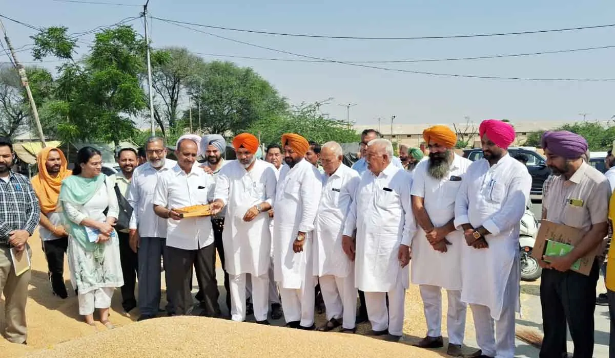 Wheat Procurement Punjab: ਹਲਕਾ ਵਿਧਾਇਕ ਰਜਨੀਸ਼ ਕੁਮਾਰ ਦਹੀਆ ਨੇ ਕਣਕ ਦੀ ਖਰੀਦ ਸੁਰੂ ਕਰਵਾਈ