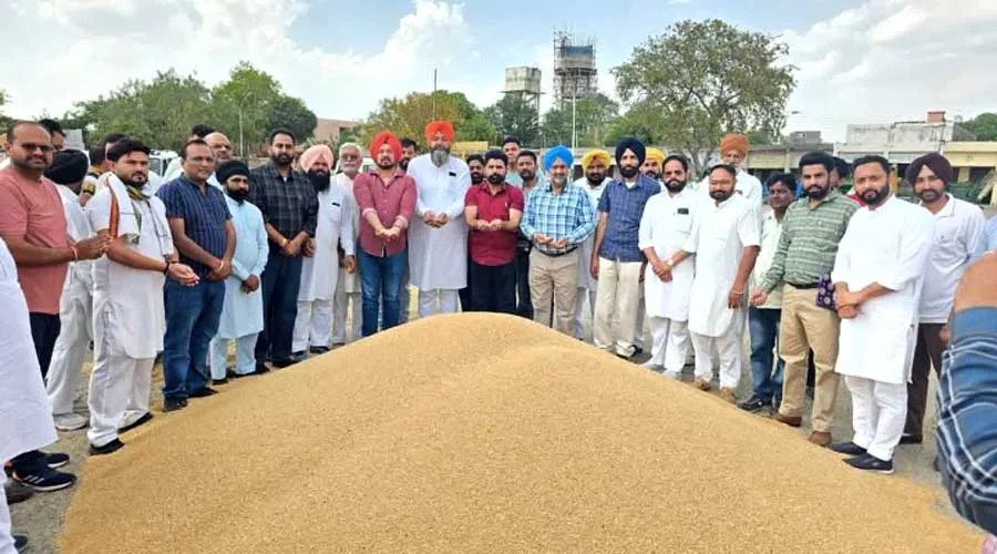 Wheat Procurement: ਕਿਸਾਨਾਂ ਦੀ ਪੁੱਤਾਂ ਵਾਂਗ ਪਾਲੀ ਫਸਲ ਦਾ ਦਾਣਾ-ਦਾਣਾ ਖਰੀਦਿਆ ਜਾਵੇਗਾ : ਵਿਧਾਇਕ ਦੇਵ ਮਾਨ