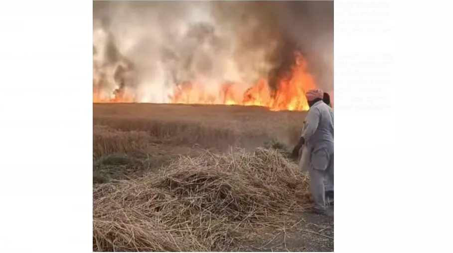 Wheat Crop Fire: ਅੱਗ ਲੱਗਣ ਕਾਰਨ ਦੋ ਕਿਸਾਨਾਂ ਦੀ ਦਸ ਏਕੜ ਕਣਕ ਦੀ ਫ਼ਸਲ ਸੜ ਕੇ ਸੁਆਹ 