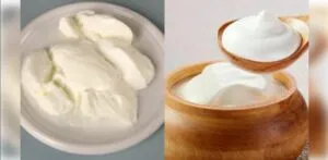 Curd