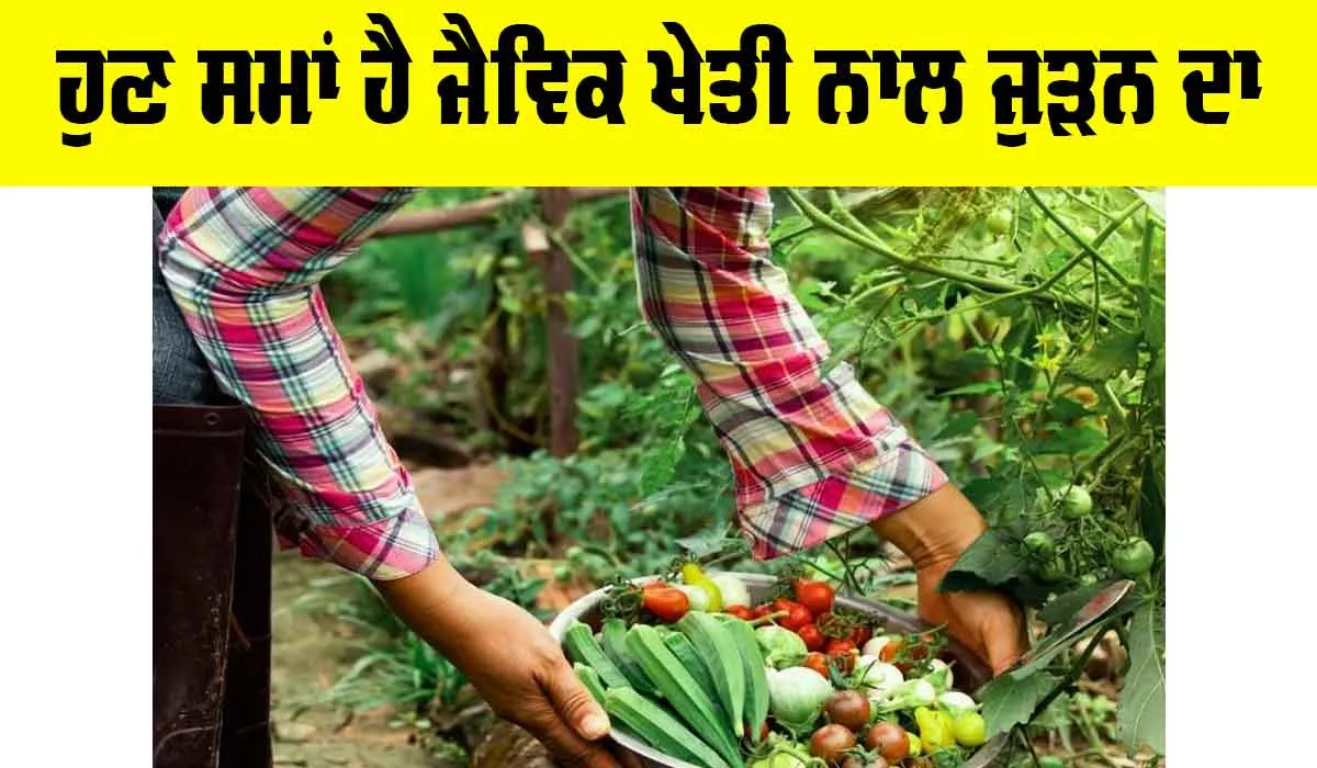Organic Farming In India: ਹੁਣ ਸਮਾਂ ਹੈ ਜੈਵਿਕ ਖੇਤੀ ਨਾਲ ਜੁੜਨ ਦਾ