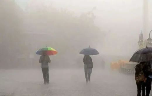 Rain: ਵਰ੍ਹਦੇ ਬੱਦਲਾਂ ਨੂੰ ਦੇਖ ਇਨਸਾਨਾਂ ਨਾਲ ਪਰਿੰਦੇ ਵੀ ਝੂਮ ਉੱਠੇ