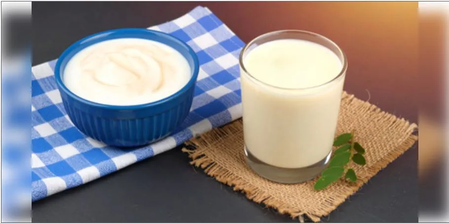 Monsoon Diet: ਦਹੀਂ ਜਾਂ ਛਾਛ… ਮਾਨਸੂਨ ਦੇ ਮੌਸਮ ’ਚ ਬਿਹਤਰ ਵਿਕਲਪ ਕੀ ਹੈ? ਜਾਣੋ