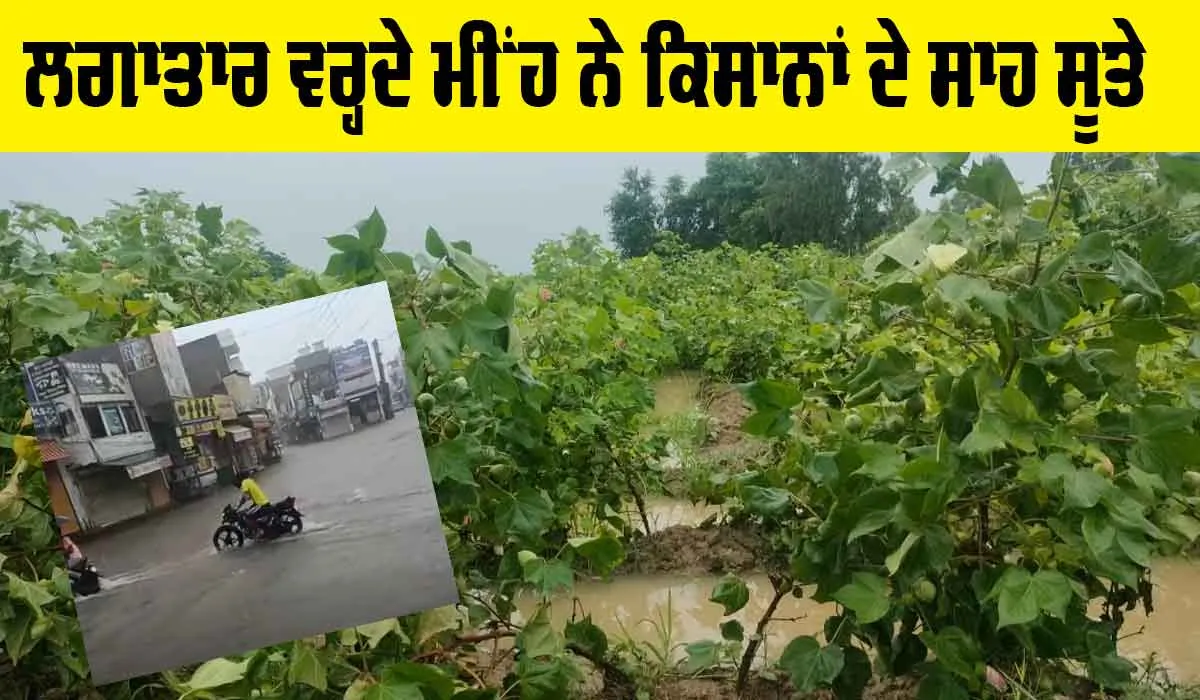 Weather Punjab: ਲਗਾਤਾਰ ਪੈ ਰਹੇ ਮੀਂਹ ਨੇ ਕਿਸਾਨਾਂ ਦੇ ਸਾਹ ਸੂਤੇ