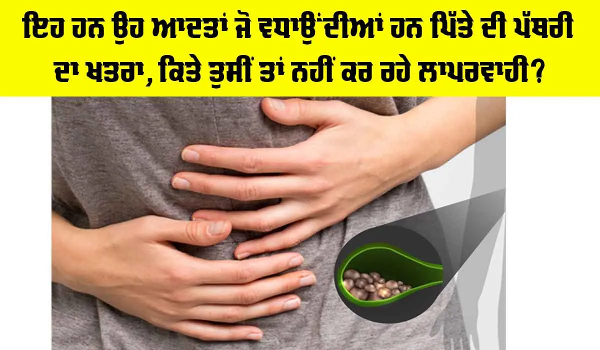Gallbladder Stone: ਇਹ ਹਨ ਉਹ ਆਦਤਾਂ ਜੋ ਵਧਾਉਂਦੀਆਂ ਹਨ ਪਿੱਤੇ ਦੀ ਪੱਥਰੀ ਦਾ ਖਤਰਾ, ਕਿਤੇ ਤੁਸੀਂ ਤਾਂ ਨਹੀਂ ਕਰ ਰਹੇ ਲਾਪਰਵਾਹੀ?