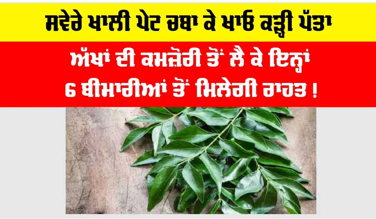 Curry Leaves: ਸਵੇਰੇ ਖਾਲੀ ਪੇਟ ਖਾਓ ਕੜ੍ਹੀ ਪੱਤਾ, ਅੱਖਾਂ ਦੀ ਕਮਜ਼ੋਰੀ ਤੋਂ ਲੈ ਕੇ ਇਨ੍ਹਾਂ 6 ਬੀਮਾਰੀਆਂ ਤੋਂ ਮਿਲੇਗੀ ਰਾਹਤ!