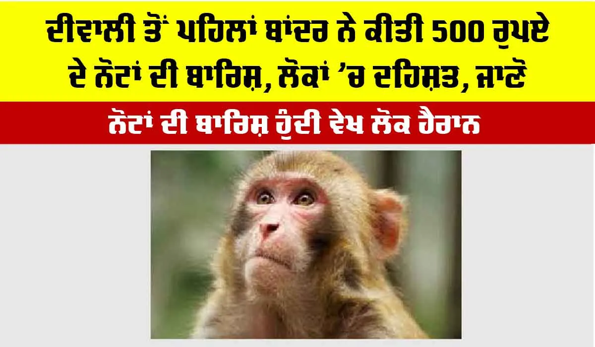Diwali 2025: ਦੀਵਾਲੀ ਤੋਂ ਪਹਿਲਾਂ ਬਾਂਦਰ ਨੇ ਕੀਤੀ 500 ਰੁਪਏ ਦੇ ਨੋਟਾਂ ਦੀ ਬਾਰਿਸ਼, ਲੋਕਾਂ ਚ ਦਹਿਸ਼ਤ, ਜਾਣੋ