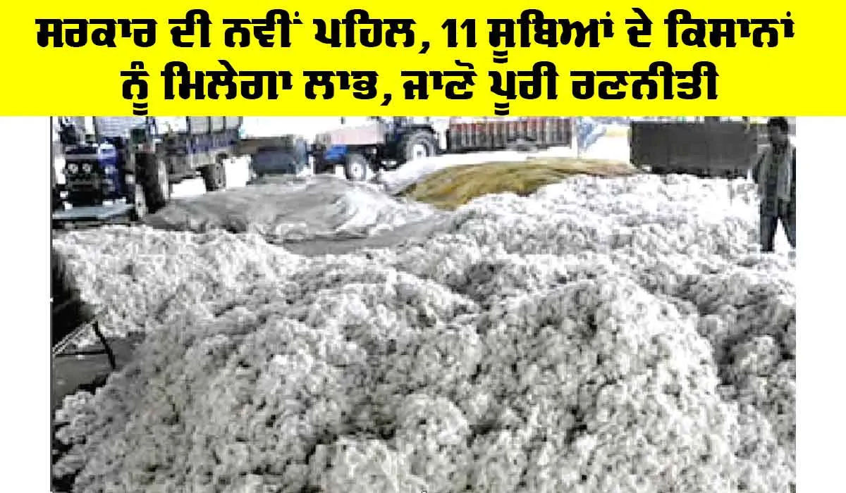 Cotton Procurement Centers: ਸਰਕਾਰ ਦੀ ਨਵੀਂ ਪਹਿਲ, 11 ਸੂਬਿਆਂ ਦੇ ਕਿਸਾਨਾਂ ਨੂੰ ਮਿਲੇਗਾ ਲਾਭ, ਜਾਣੋ ਪੂਰੀ ਰਣਨੀਤੀ