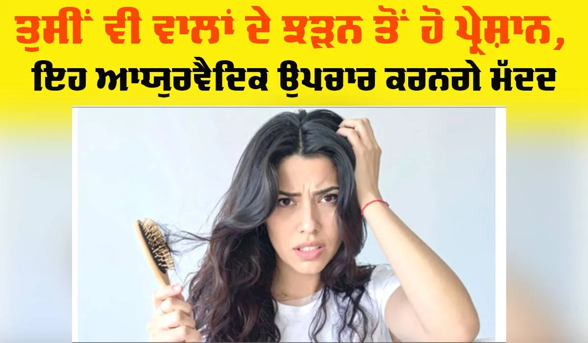 Hair Fall Treatment: ਵਾਲਾਂ ਦੇ ਝੜਨ ਤੋਂ ਪਰੇਸ਼ਾਨ, ਇਹ ਆਯੁਰਵੈਦਿਕ ਉਪਚਾਰ ਕਰਨਗੇ ਮੱਦਦ
