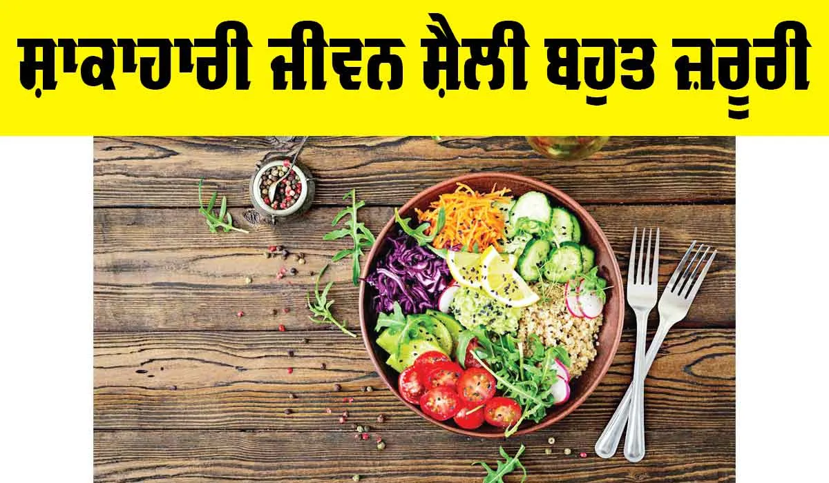 Vegetarian Lifestyle Benefits: ਸ਼ਾਕਾਹਾਰੀ ਜੀਵਨ ਸ਼ੈਲੀ ਬਹੁਤ ਜ਼ਰੂਰੀ