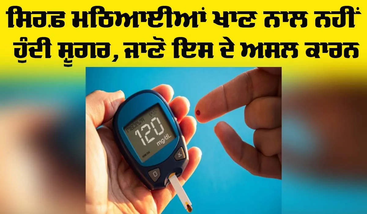 Diabetes Health Tips: ਸਿਰਫ਼ ਮਠਿਆਈਆਂ ਖਾਣ ਨਾਲ ਨਹੀਂ ਹੁੰਦੀ ਸ਼ੂਗਰ, ਜਾਣੋ ਇਸਦੇ ਅਸਲ ਕਾਰਨ
