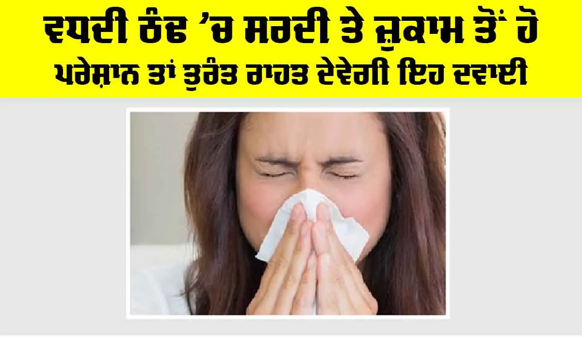 Winter Cold: ਵਧਦੀ ਠੰਢ ’ਚ ਸਰਦੀ ਤੇ ਜ਼ੁਕਾਮ ਤੋਂ ਹੋ ਪਰੇਸ਼ਾਨ ਤਾਂ ਤੁਰੰਤ ਰਾਹਤ ਦੇਵੇਗੀ ਇਹ ਦਵਾਈ