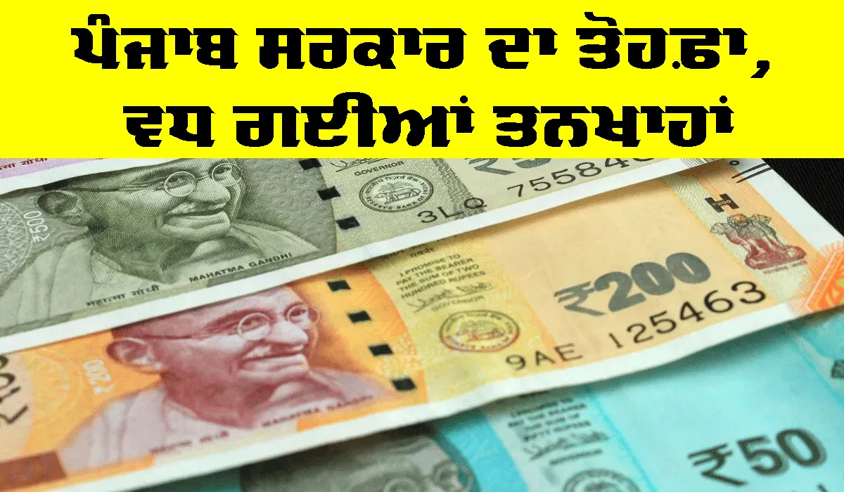 Punjab Government: ਪੰਜਾਬ ਸਰਕਾਰ ਦਾ ਤੋਹਫ਼ਾ, ਵਧ ਗਈਆਂ ਤਨਖਾਹਾਂ
