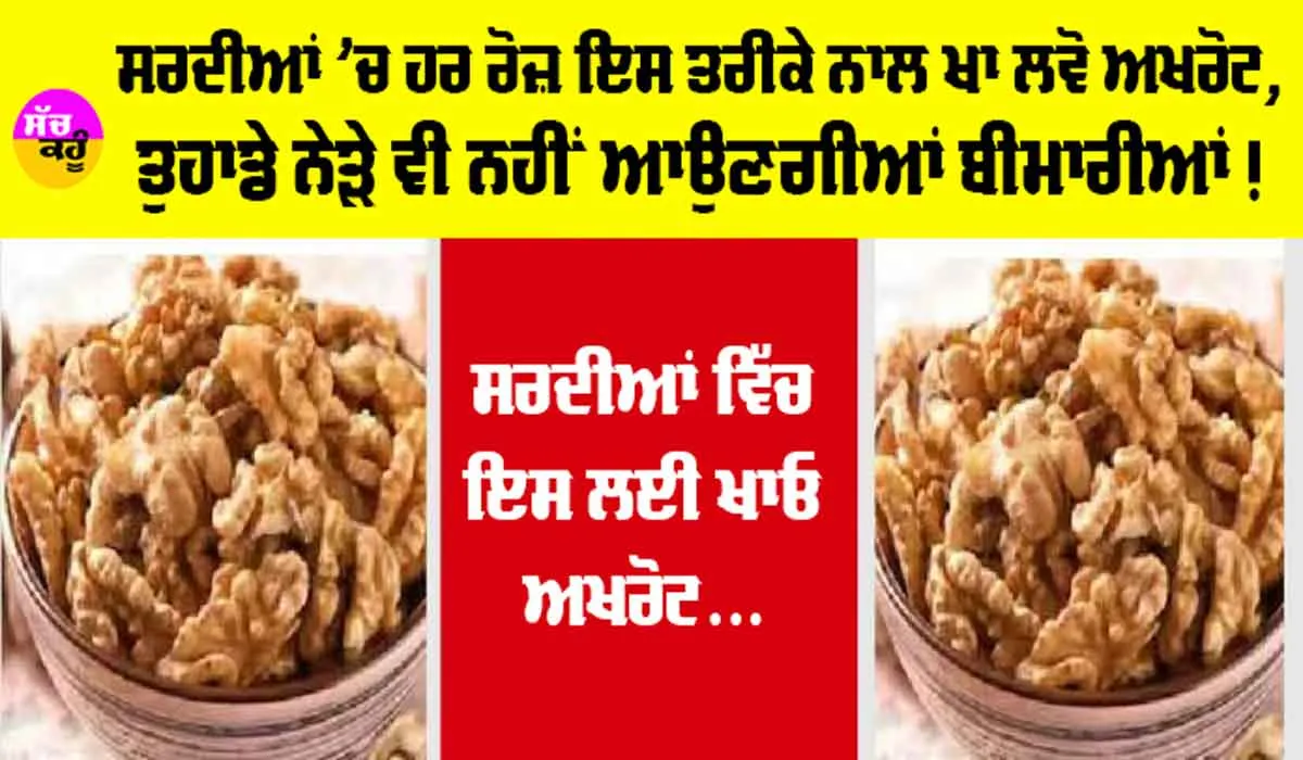 Walnuts Benefits: ਸਰਦੀਆਂ ’ਚ ਤੁਹਾਨੂੰ ਸਿਹਤਮੰਦ ਰੱਖੇਗਾ ਅਖਰੋਟ, ਜਾਣੋ ਇਸ ਨੂੰ ਖਾਣ ਦੇ 6 ਵੱਡੇ ਫਾਇਦੇ…