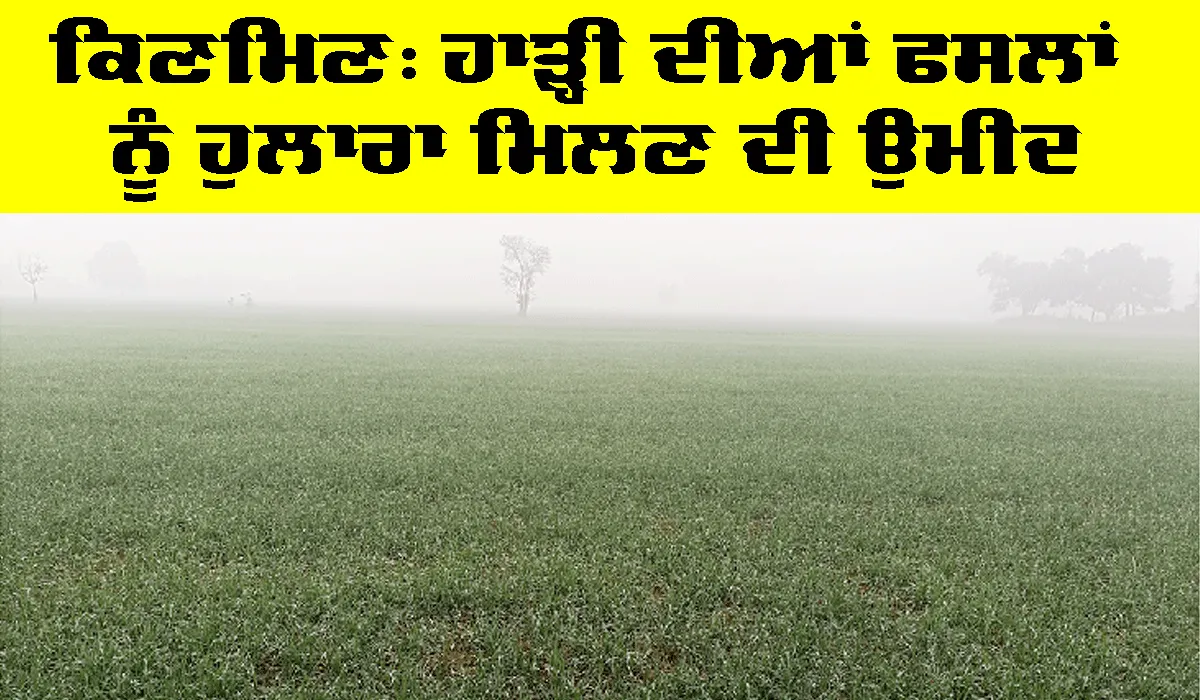 ਪੰਜਾਬ ਦੇ ਕਈ ਜ਼ਿਲ੍ਹਿਆਂ ’ਚ ਕਿਣਮਿਣ, ਹਾੜ੍ਹੀ ਦੀਆਂ ਫਸਲਾਂ ਨੂੰ ਹੁਲਾਰਾ ਮਿਲਣ ਦੀ ਉਮੀਦ