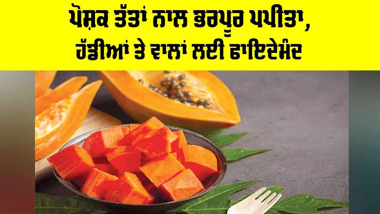 Papaya Health Benefits: ਪੋਸ਼ਕ ਤੱਤਾਂ ਨਾਲ ਭਰਪੂਰ ਪਪੀਤਾ, ਹੱਡੀਆਂ ਤੇ ਵਾਲਾਂ ਲਈ ਫਾਇਦੇਮੰਦ