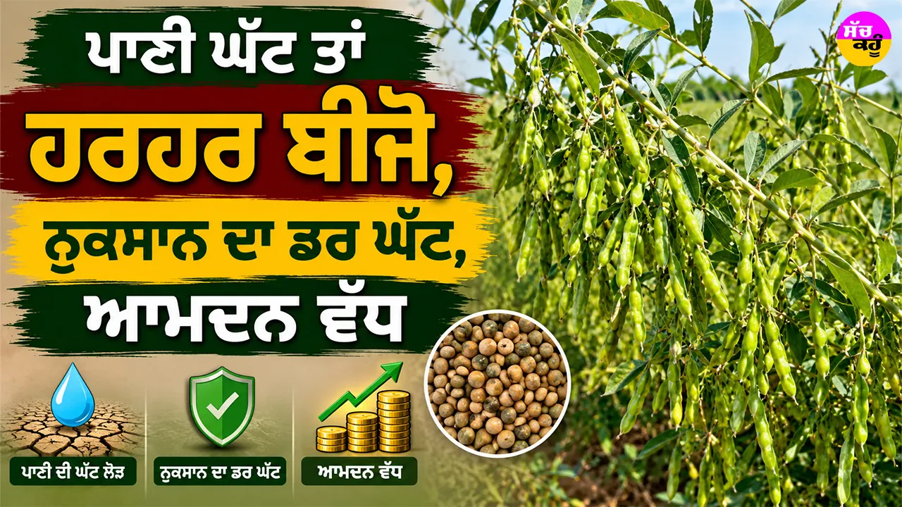 Arhar Farming: ਪਾਣੀ ਘੱਟ ਤਾਂ ਹਰਹਰ ਬੀਜੋ, ਨੁਕਸਾਨ ਦਾ ਡਰ ਘੱਟ, ਆਮਦਨ ਵੱਧ
