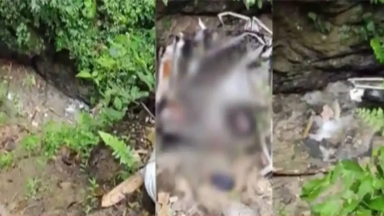 Arunachal Pradesh Road Accident: ਸੜਕ ਹਾਦਸੇ ਵਿੱਚ ਅਸਾਮ ਦੇ ਪੰਜ ਨੌਜਵਾਨਾਂ ਦੀ ਮੌਤ