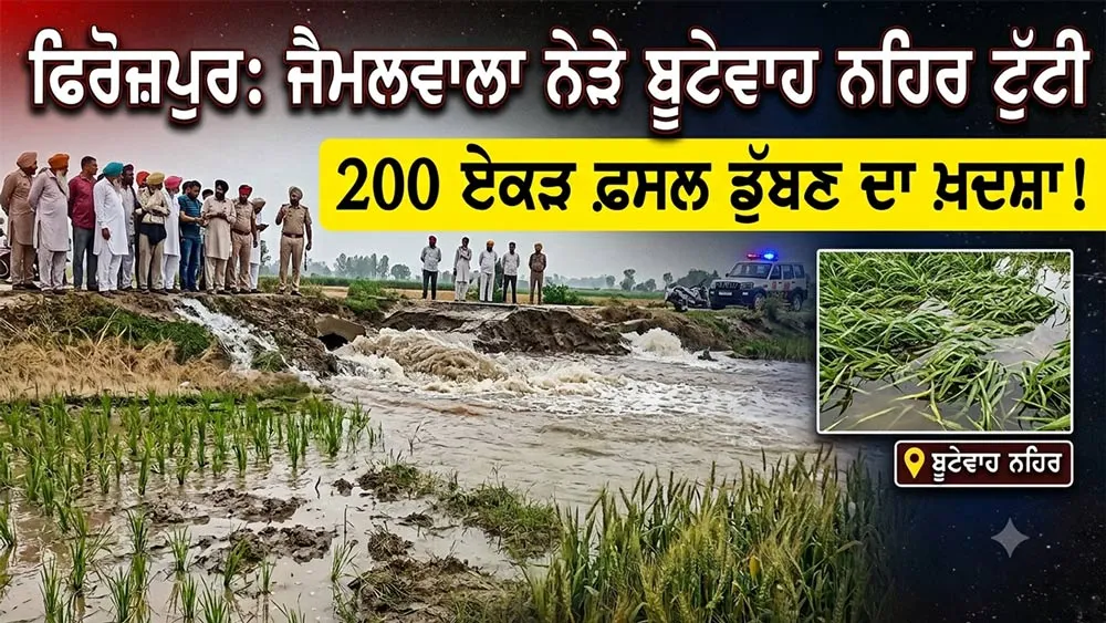 Canal Breach Ferozepur:  ਜੈਮਲਵਾਲਾ ਨੇੜੇ ਬੂਟੇਵਾਹ ਨਹਿਰ ਦੋ ਥਾਵਾਂ ਤੋਂ ਟੁੱਟੀ, ਕਰੀਬ 200 ਏਕੜ ਫ਼ਸਲ ਨੂੰ ਨੁਕਸਾਨ ਦਾ ਖ਼ਦਸ਼ਾ