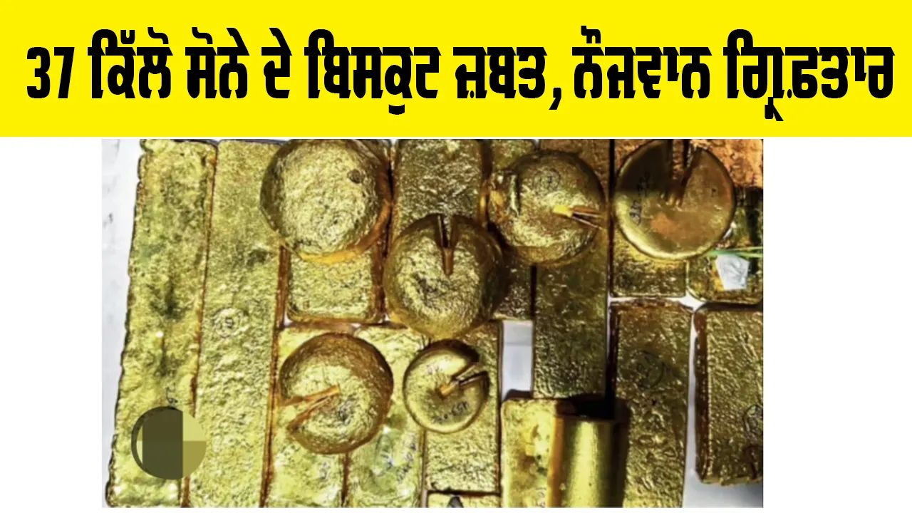 Gold News: 37 ਕਿਲੋ ਸੋਨੇ ਦੇ ਬਿਸਕੁਟ ਜ਼ਬਤ, ਨੌਜਵਾਨ ਗ੍ਰਿਫ਼ਤਾਰ