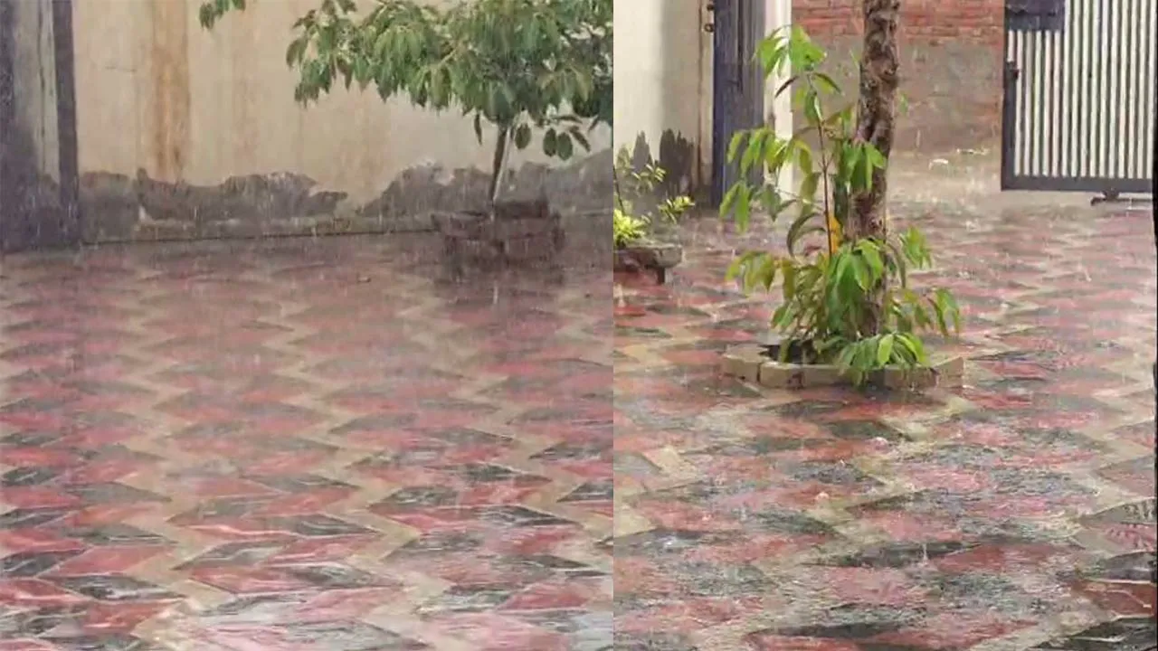 Mansa Heavy Rain: ਮਾਨਸਾ 'ਚ ਪਿਆ ਭਰਵਾਂ ਮੀਂਹ,  ਕਿਸਾਨਾਂ ਦੇ ਚਿਹਰੇ ਖਿੜੇ 