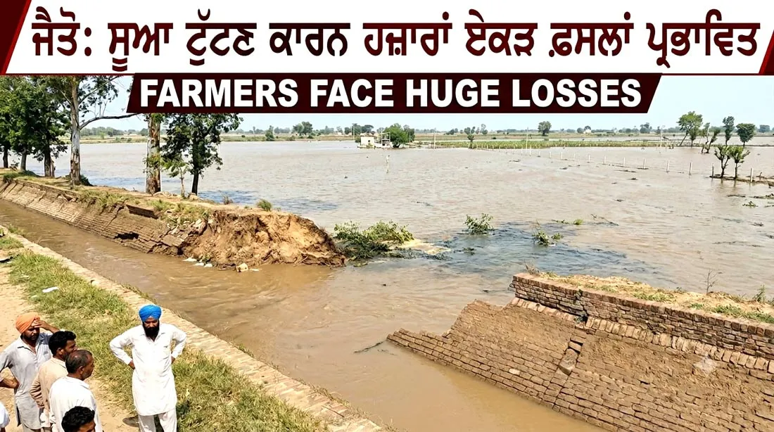 Jaito Canal Breach: ਸੂਆ ਟੁੱਟਣ ਕਾਰਨ ਹਜ਼ਾਰਾਂ ਏਕੜ ਫ਼ਸਲਾਂ ਪ੍ਰਭਾਵਿਤ