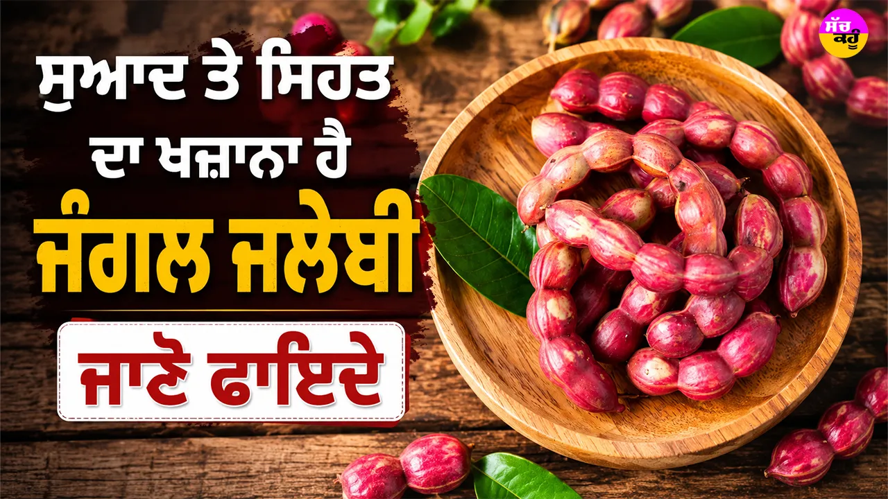 Jungle Jalebi Benefits: ਸੁਆਦ ਤੇ ਸਿਹਤ ਦਾ ਖਜ਼ਾਨਾ ਹੈ ਜੰਗਲ ਜਲੇਬੀ, ਜਾਣੋ ਫਾਇਦੇ