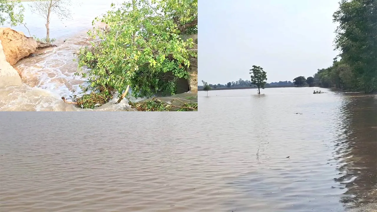 Kotkapura Canal Breach: ਕੋਟਕਪੂਰਾ ਦੇ ਪਿੰਡ ਠਾੜਾ ਨੇੜੇ ਰਜਵਾਹਾ ਮੁੜ ਟੁੱਟਿਆ, 60-70 ਏਕੜ ਫਸਲ ਡੁੱਬੀ