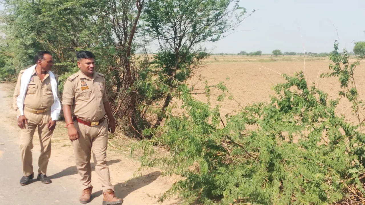 Road Accident: ਤੇਜ਼ ਰਫ਼ਤਾਰ ਟਰੈਕਟਰ ਖੱਡ ’ਚ ਪਲਟਿਆ, ਡਰਾਈਵਰ ਦੀ ਮੌਤ