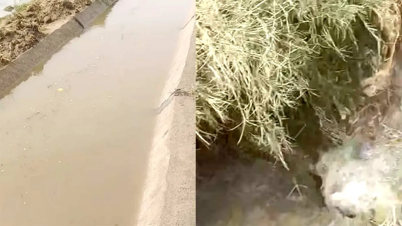 Canal Breach News: ਪਹਿਲੇ ਹੀ ਨਹਿਰੀ ਪਾਣੀ ਦੇ ਦਬਾਅ ਅੱਗੇ ਨਾ ਟਿਕ ਸਕਿਆ ਰੋਹੀੜਾ ਮਾਈਨਰ ਰਜਵਾਹਾ