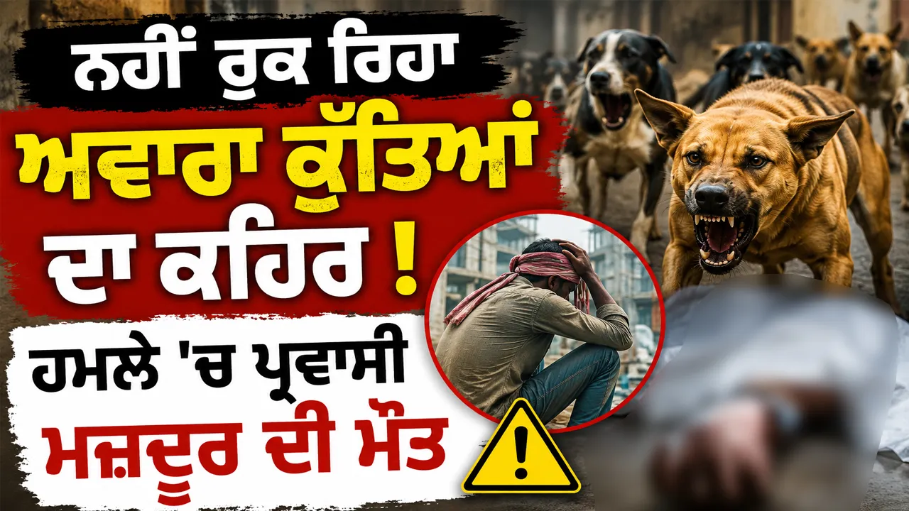 ਨਹੀਂ ਰੁਕ ਰਿਹਾ ਅਵਾਰਾ ਕੁੱਤਿਆਂ ਦਾ ਕਹਿਰ, ਹਮਲੇ 'ਚ ਪ੍ਰਵਾਸੀ ਮਜ਼ਦੂਰ ਦੀ ਮੌਤ