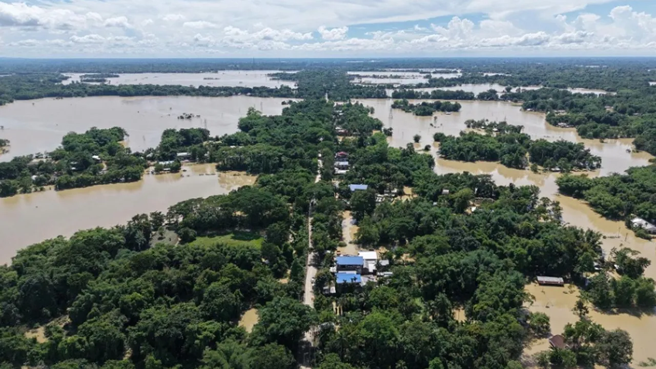 Flood: ਹੜ੍ਹ ਕਾਰਨ ਸਥਿਤੀ ਗੰਭੀਰ, 11 ਜ਼ਿਲ੍ਹਿਆਂ 'ਚ 653,164 ਲੋਕ ਪ੍ਰਭਾਵਿਤ, ਮੌਤਾਂ ਦੀ ਗਿਣਤੀ 44 ਹੋਈ