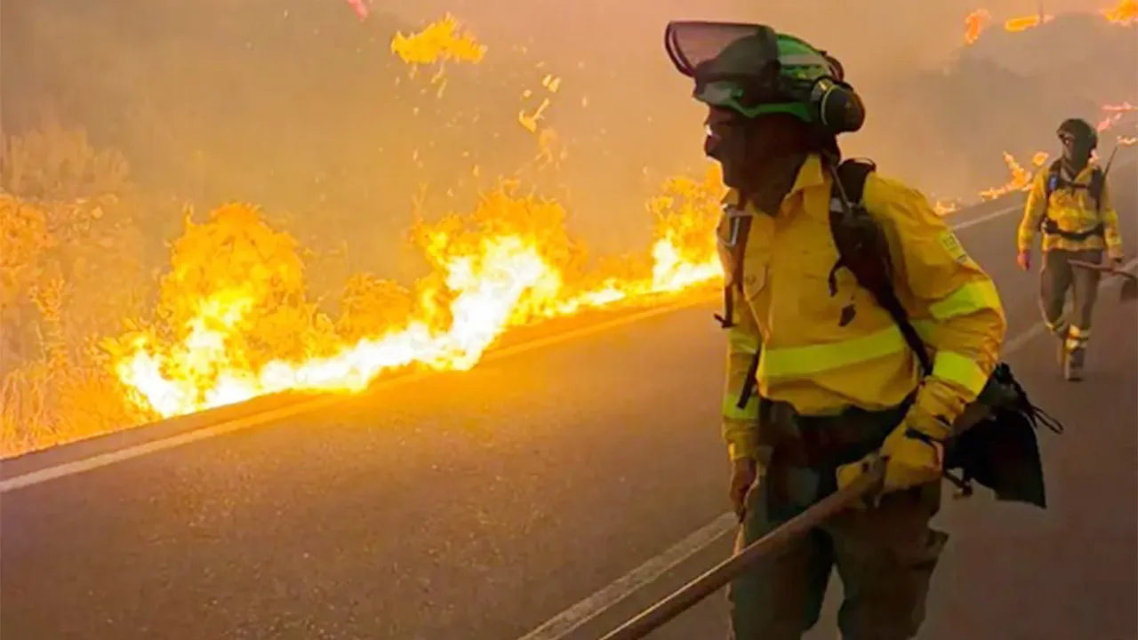 Spain Wildfire: ਸਪੇਨ ਦੇ ਜੰਗਲ ’ਚ ਅੱਗ ਕਾਰਨ 12 ਮੌਤਾਂ, 19 ਲਾਪਤਾ