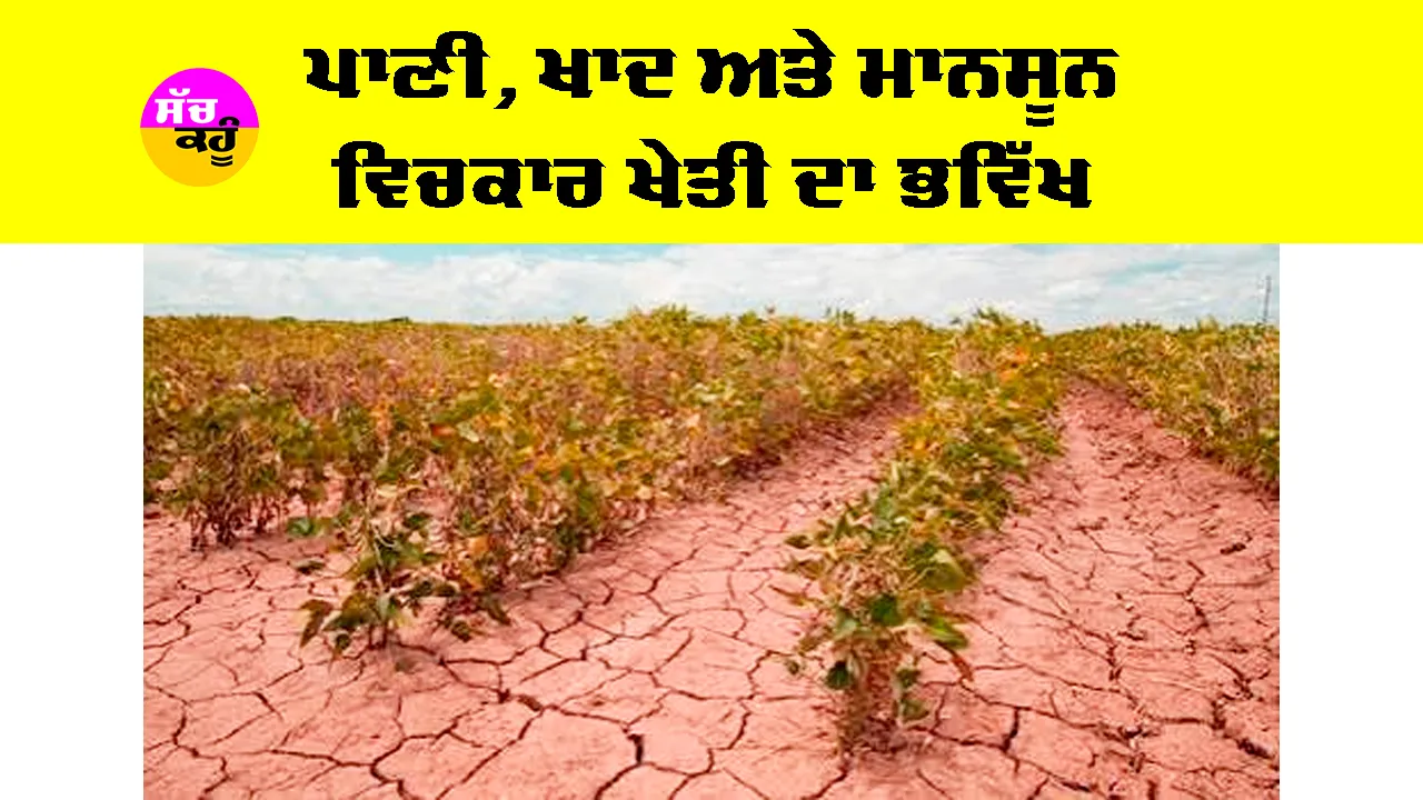 Agriculture News: ਪਾਣੀ, ਖਾਦ ਤੇ ਮਾਨਸੂਨ ਵਿਚਕਾਰ ਖੇਤੀ ਦਾ ਭਵਿੱਖ