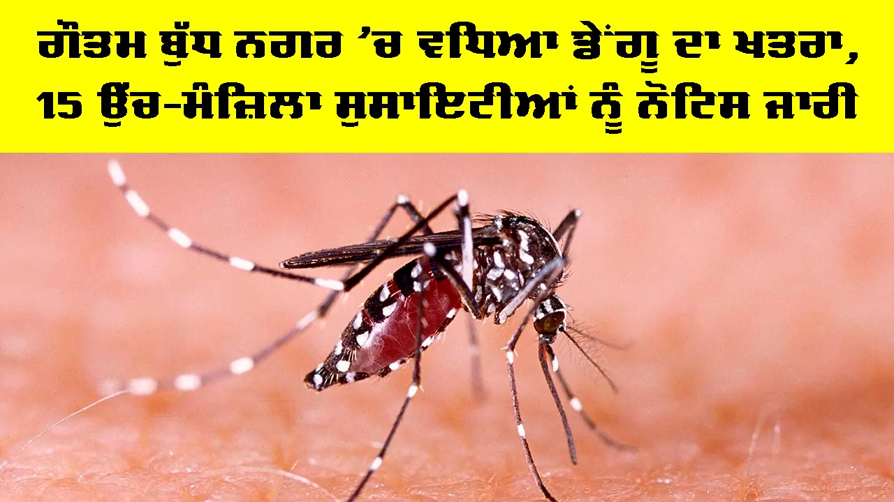 Dengue Cases Noida: ਗੌਤਮ ਬੁੱਧ ਨਗਰ ’ਚ ਵਧਿਆ ਡੇਂਗੂ ਦਾ ਖਤਰਾ, 15 ਉੱਚ-ਮੰਜ਼ਿਲਾ ਸੁਸਾਇਟੀਆਂ ਨੂੰ ਨੋਟਿਸ ਜਾਰੀ