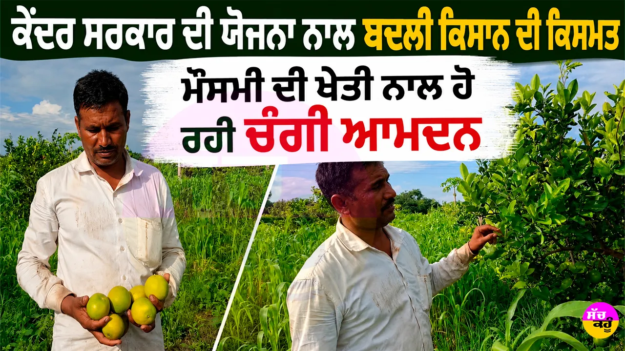 Farmer Success Story: ਕੇਂਦਰ ਸਰਕਾਰ ਦੀ ਯੋਜਨਾ ਨਾਲ ਬਦਲੀ ਕਿਸਾਨ ਦੀ ਕਿਸਮਤ, ਮੌਸਮੀ ਦੀ ਖੇਤੀ ਨਾਲ ਹੋ ਰਹੀ ਚੰਗੀ ਆਮਦਨ