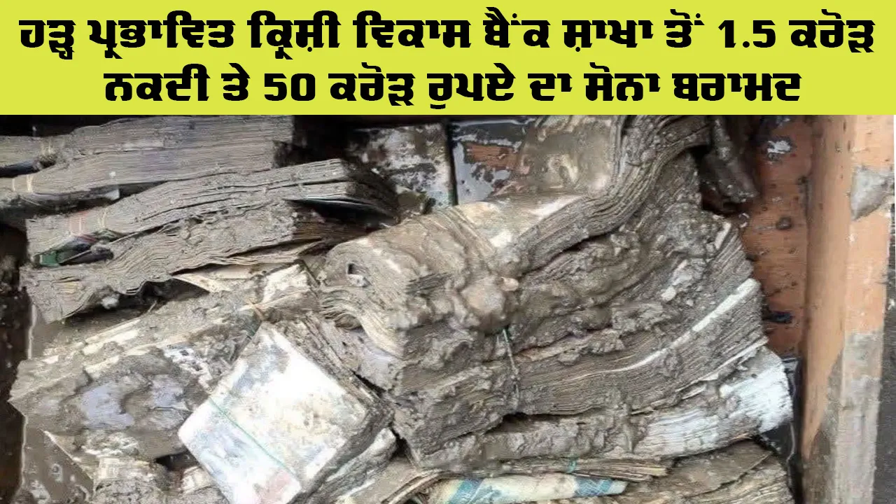 Flood News: ਹੜ੍ਹ ਪ੍ਰਭਾਵਿਤ ਕ੍ਰਿਸ਼ੀ ਵਿਕਾਸ ਬੈਂਕ ਸ਼ਾਖਾ ਤੋਂ 1.5 ਕਰੋੜ ਨਕਦੀ ਤੇ 50 ਕਰੋੜ ਰੁਪਏ ਦਾ ਸੋਨਾ ਬਰਾਮਦ