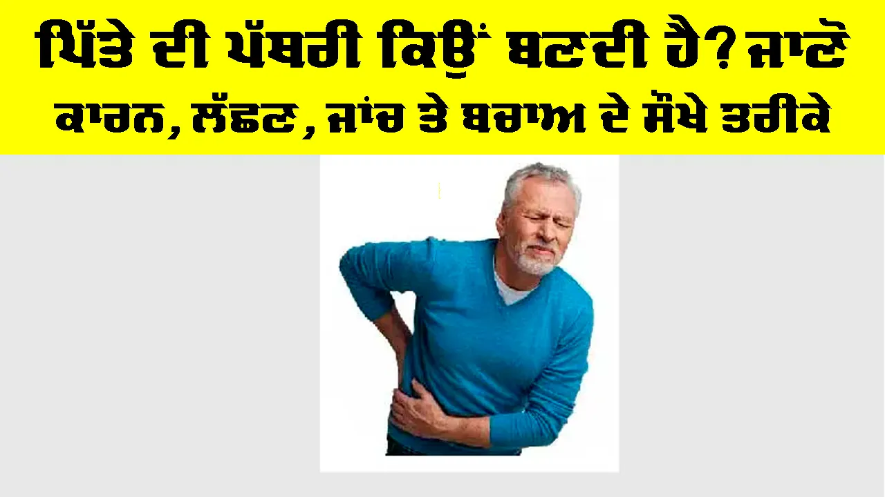 Gallbladder Stones: ਪਿੱਤੇ ਦੀ ਪੱਥਰੀ ਕਿਉਂ ਬਣਦੀ ਹੈ? ਜਾਣੋ ਕਾਰਨ, ਲੱਛਣ, ਜਾਂਚ ਤੇ ਬਚਾਅ ਦੇ ਸੌਖੇ ਤਰੀਕੇ