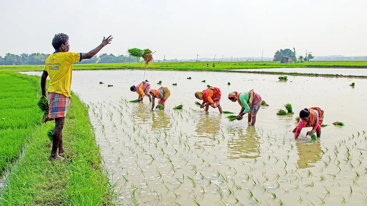 India Monsoon : ਭਾਰਤ ਦੇ ਮਾਨਸੂਨ ’ਚ ਸੁਧਾਰ, ਸਾਉਣੀ ਦੀਆਂ ਫਸਲਾਂ ਨੂੰ ਨੁਕਸਾਨ ਹੋਣ ਦਾ ਡਰ ਘੱਟ : ਰਿਪੋਰਟ