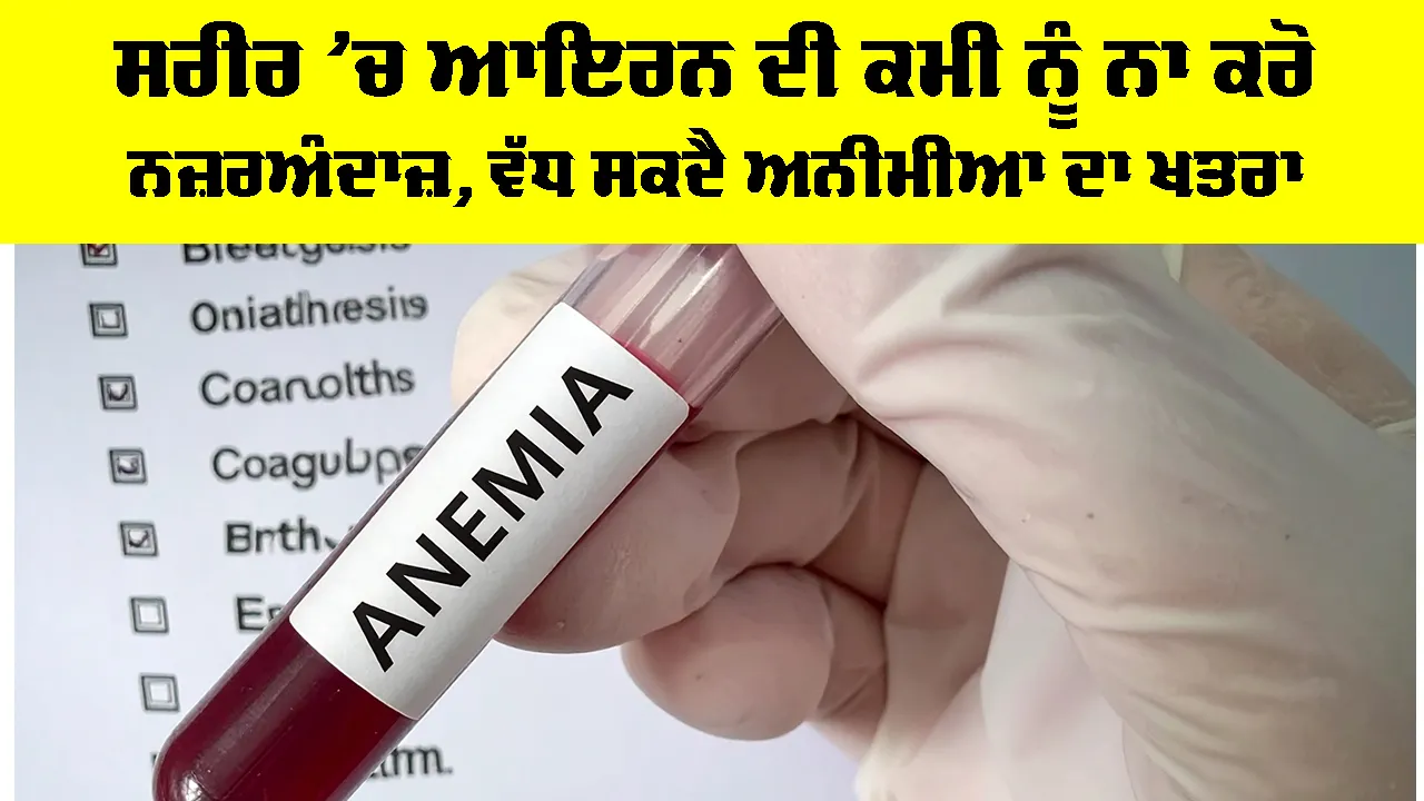 Iron Deficiency: ਸਰੀਰ ’ਚ ਆਇਰਨ ਦੀ ਕਮੀ ਨੂੰ ਨਾ ਕਰੋ ਨਜ਼ਰਅੰਦਾਜ਼, ਵੱਧ ਸਕਦੈ ਅਨੀਮੀਆ ਦਾ ਖਤਰਾ